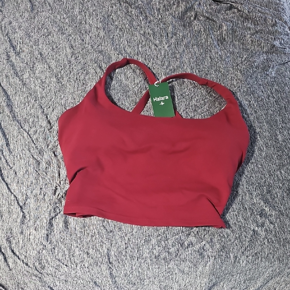 HALARA Burgundy Crop Top